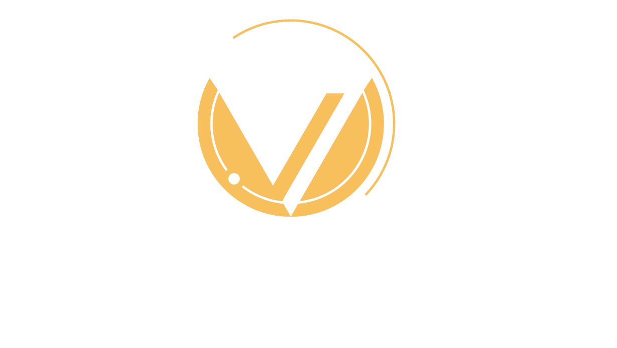vimexo-01.png